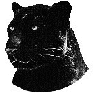 ShadowPanther - Cata